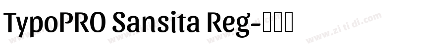 TypoPRO Sansita Reg字体转换